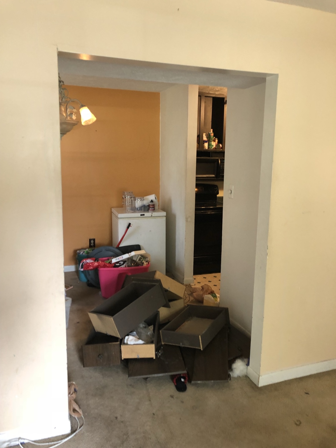 Property cleanout and rehab